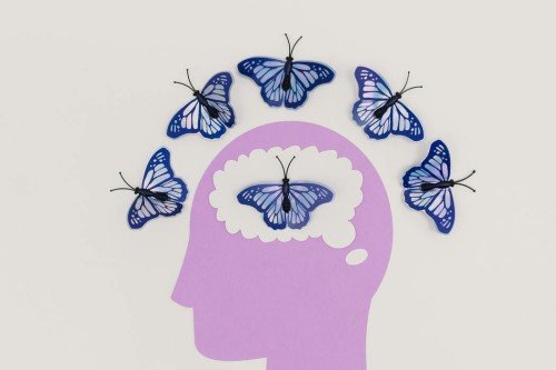 Cómo la Investigación Cerebral Está Moldeando la Medicina